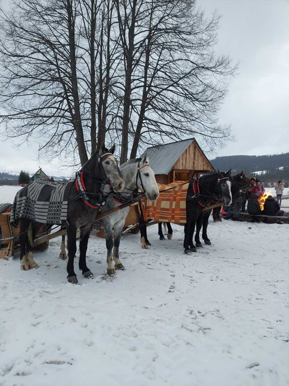 wycieczka Zakopane nr 3